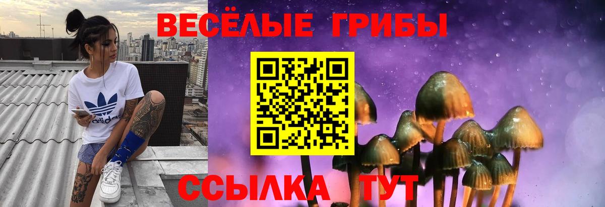 Псилоцибиновые грибы GOLDEN TEACHER Стрежевой