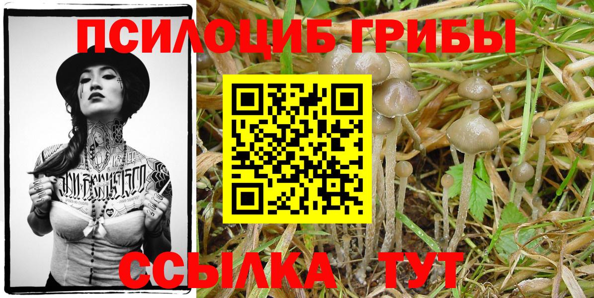 Псилоцибиновые грибы GOLDEN TEACHER  Вход с VPN  Стрежевой 